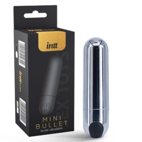 Mini vibrador Bullet Prata Recarregável Com 10 Modos De Vibração