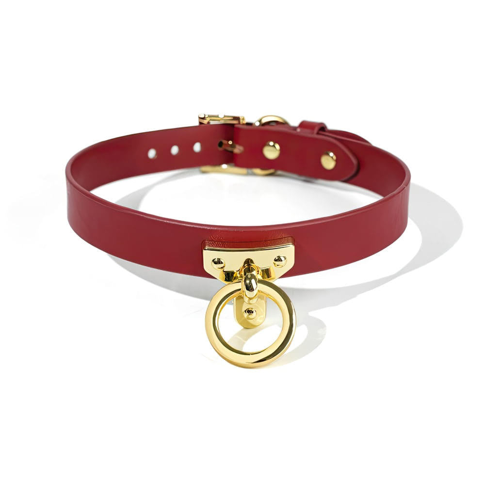 Coleira Bondage em Couro com Fecho em Metal e Corrente de Tração - Imagem 5